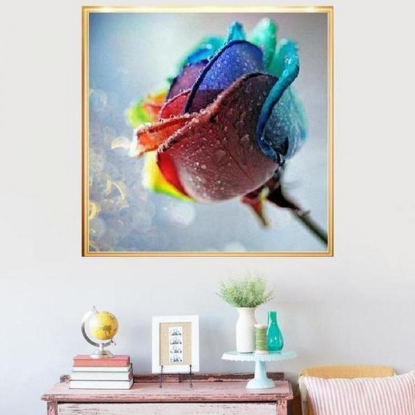 Farbige Rose ab 50x50xm