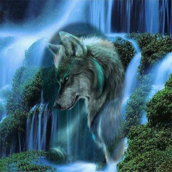 Wolf mit Wasserfall