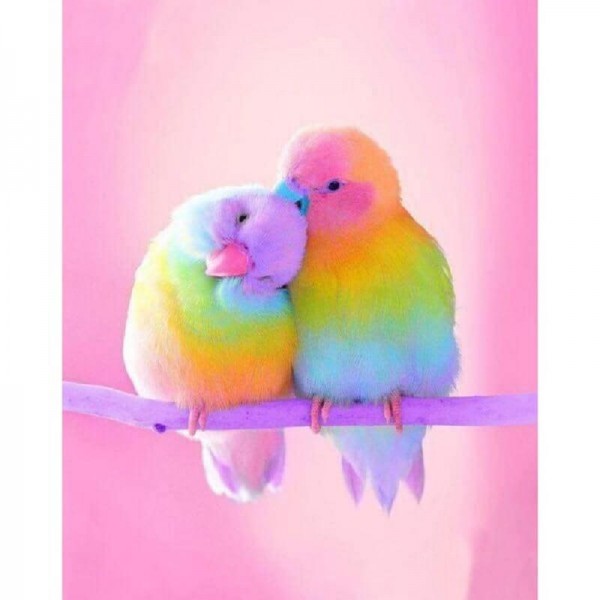 Regenbogenfarbige Vögel