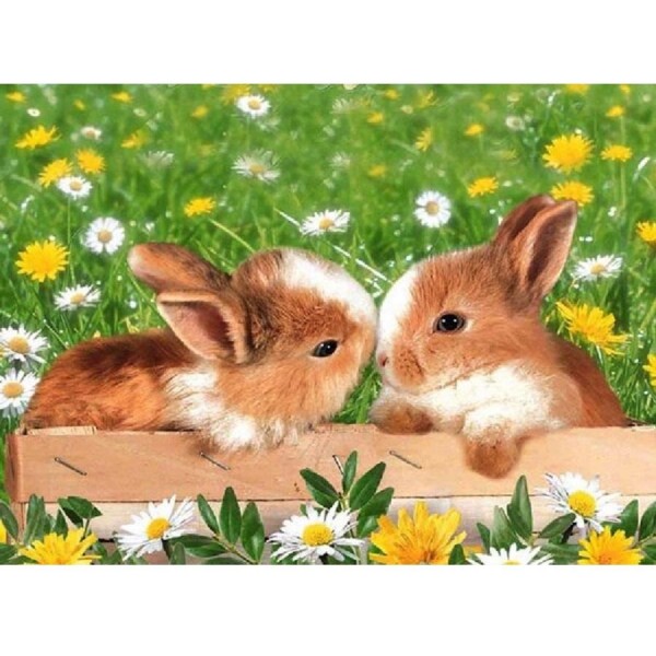Kaninchen auf der Sommerwiese