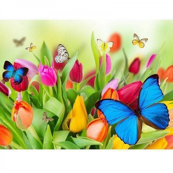 Schmetterlinge und Tulpen