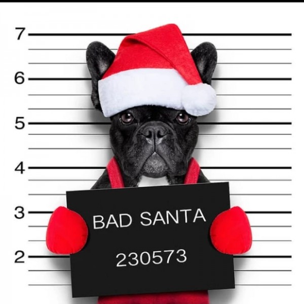 Böse Santa-Bulldogge