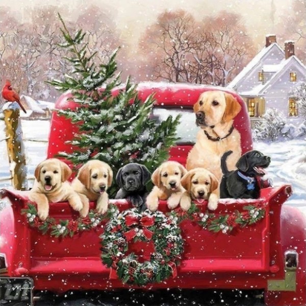 Hunde im Weihnachtsauto