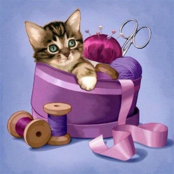 Katze im Nähkästchen