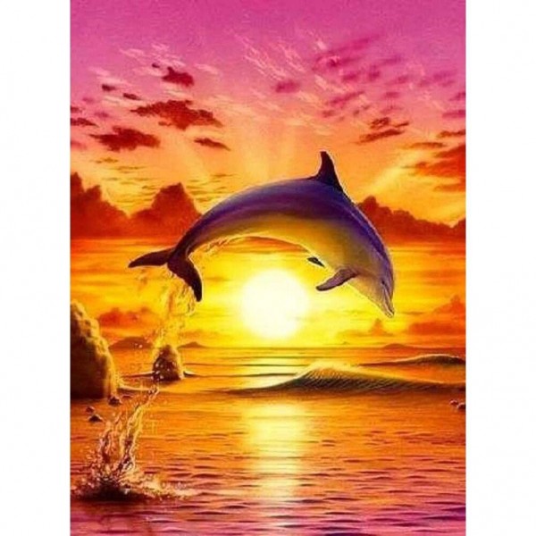 Delphin im Sonnenuntergang