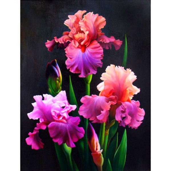 Iris Blumen